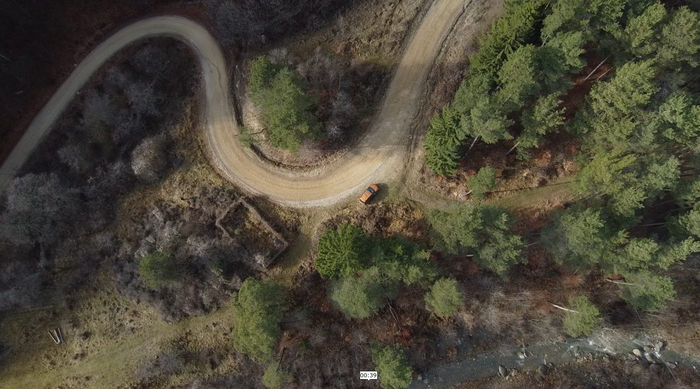 Drone view of a winding forest road through pine trees